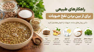 از بین بردن نفخ حبوبات | روشهای طلایی برای کاهش نفخ لوبیا، نخود و عدس