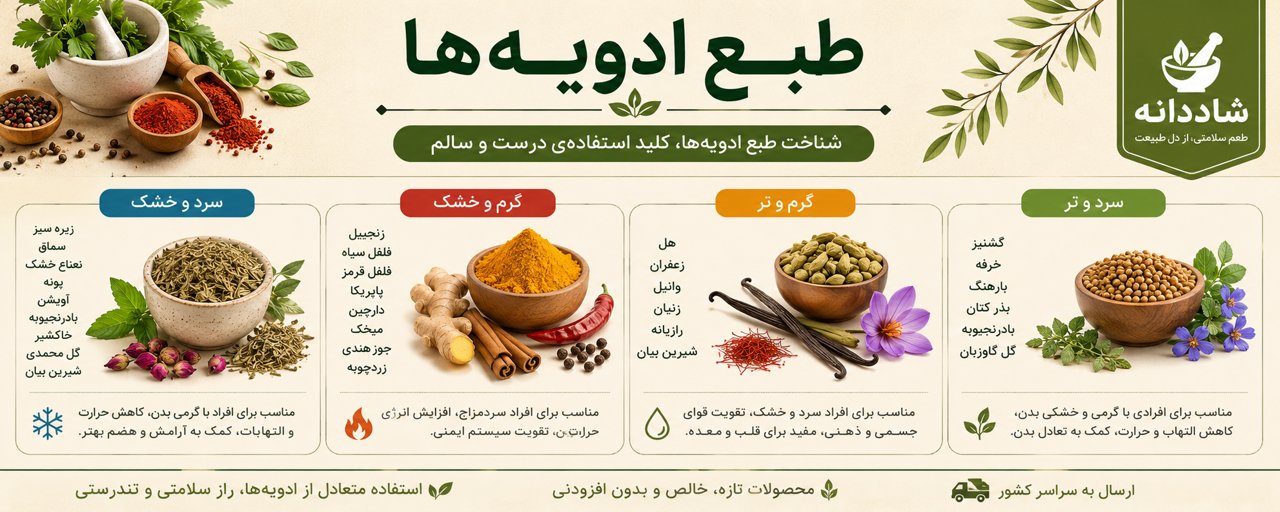 طبع ادویهها در طب سنتی چیست؟ + جدول کامل مزاج ادویهها