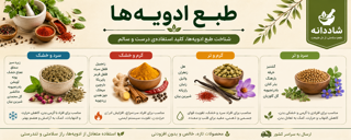 طبع ادویهها در طب سنتی چیست؟ + جدول کامل مزاج ادویهها